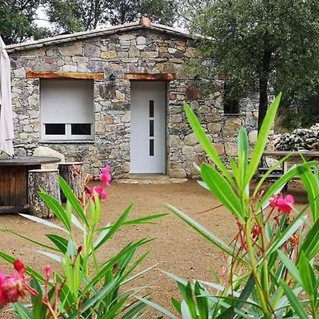 Domaine Rondini Hotel Moltifao Kültér fotó