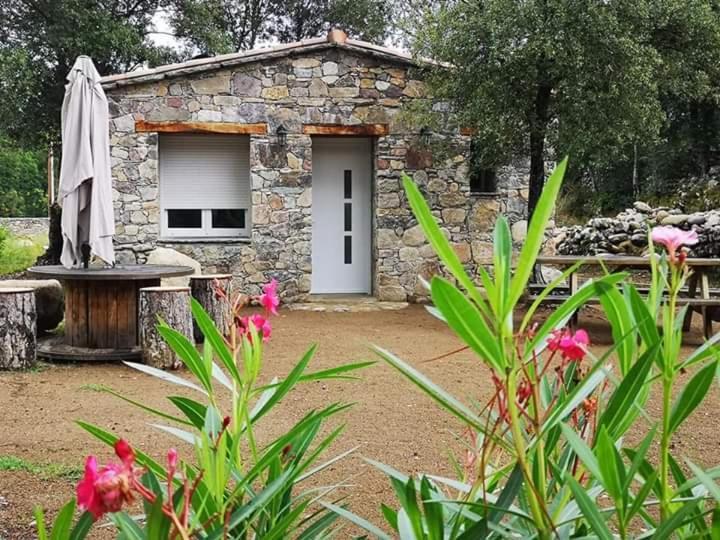 Domaine Rondini Hotel Moltifao Kültér fotó