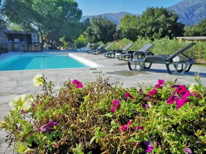 Domaine Rondini Hotel Moltifao Kültér fotó