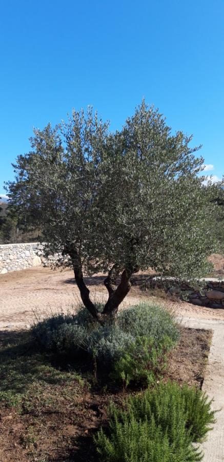 Domaine Rondini Hotel Moltifao Kültér fotó